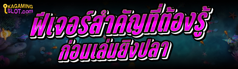ฟีเจอร์สำคัญที่ต้องรู้ก่อน เล่นยิงปลา 