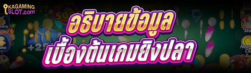 อธิบาย ข้อมูลเบื้องต้นเกมยิงปลา