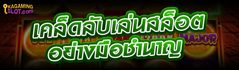 เคล็ดลับเล่นสล็อตอย่างมือชำนาญ